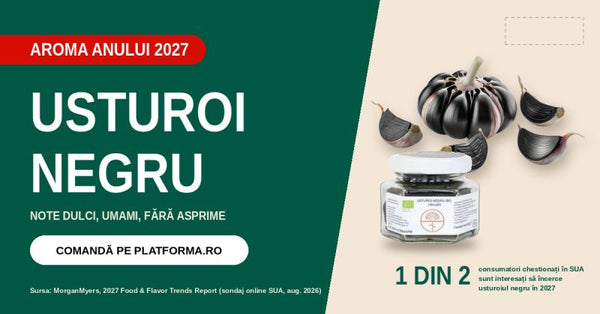 Miere cu usturoi negru BIO, 225g, Transylvania's Finest Foods