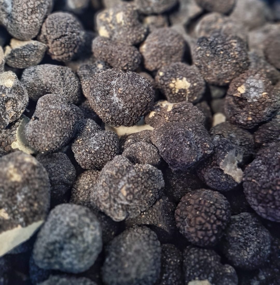 Trufe negre congelate Calitatea 1 Transylvania's Finest Foods 500g