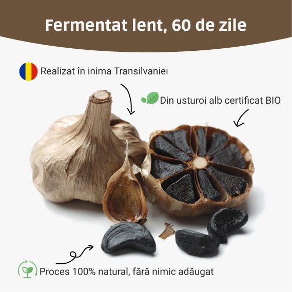 Usturoi Negru BIO (Decojit) – Superaliment fermentat 60 de zile, pentru detoxifiere, circulație și imunitate